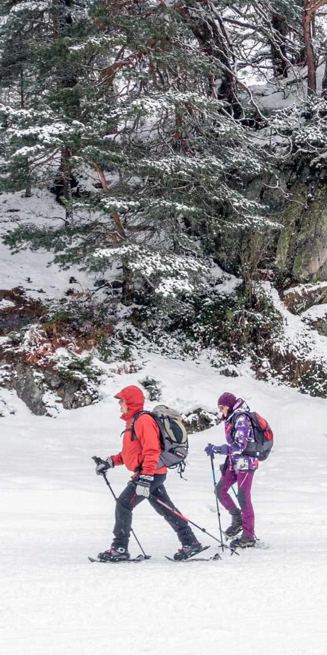 Sorties raquettes dans les Pyr&eacute;n&eacute;es