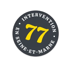 Intervention en Seine et Marne - 77